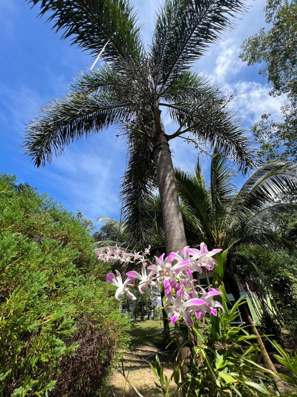 Janzo House Otel Ban Khlong Mat Dış mekan fotoğraf